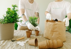 信阳农林学院成教【植物保护与检疫技术】高起专教学计划