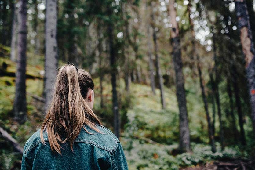 信阳农林学院成教【林业技术】高起专教学计划 图1
