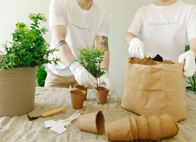 信阳农林学院成教【植物保护与检疫技术】高起专教学计划