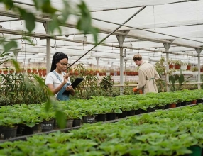 信阳农林学院成教《植物检疫》高起专课程作业及答案