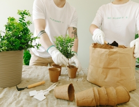信阳农林学院成教【植物保护与检疫技术】高起专教学计划
