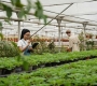 信阳农林学院成教《植物检疫》高起专课程作业及答案