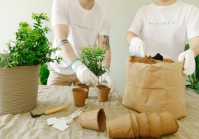 信阳农林学院成教【植物保护与检疫技术】高起专教学计划