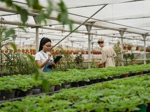 信阳农林学院成教《植物检疫》高起专课程作业及答案