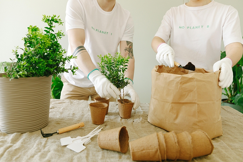 信阳农林学院成教【植物保护与检疫技术】高起专教学计划 图1
