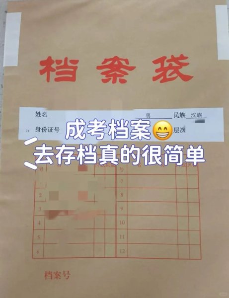成考档案记得一定要去合并存档！ 图1