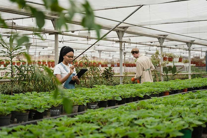  信阳农林学院成教《植物检疫》高起专课程作业及答案 图1